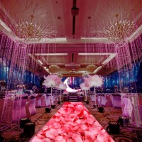 全息紗幕全息幕3D全息婚禮婚慶全息投影設(shè)備