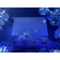 進口紗幕-紗幕價格_紗幕批發_紗幕廠家