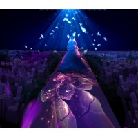 全息投影紗幕 4D宴會廳婚禮秀方案設計施工運營供應商