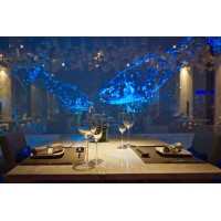 韓國投影幕 全息膜 透明膜 背投幕 櫥窗廣告幕 全息投影膜